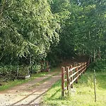 Parcela Traitraico, Coñaripe