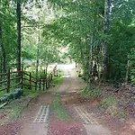 Parcela Traitraico, Coñaripe